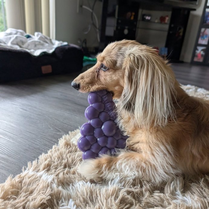 user image by @kreviewing, Bullymake Tough Chew Grapes and Beef Flavor Dog Food Shaped Toy