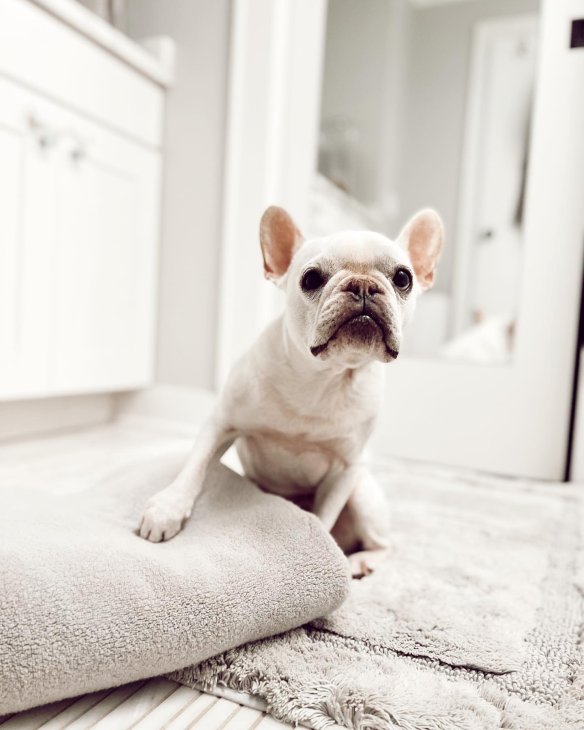 Frontgate Resort Collection™ Skid-Resistant Round Bath Rug