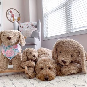 Labradoodle plush toy best sale