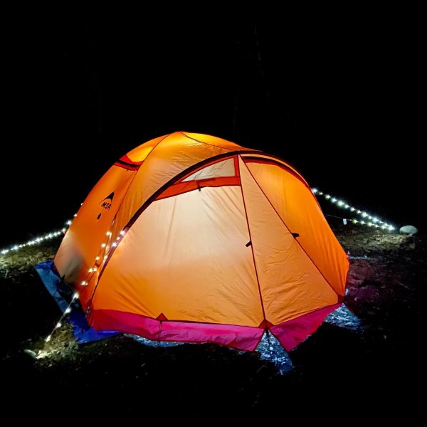 REI MSR Access 3 Tent | REI Co-op