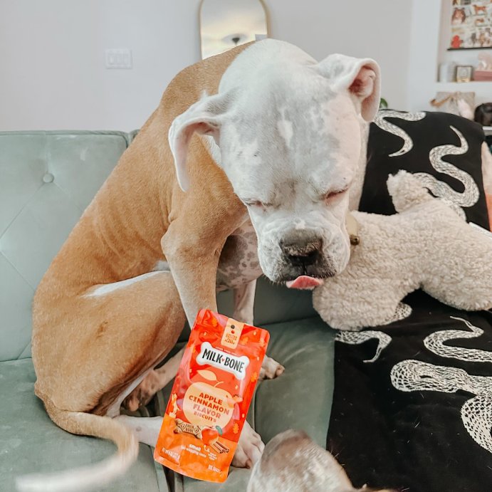 user image by @micatrotto, Milk-Bone Halloween Apple and Cinnamon Flavor Dog Treats - 8oz