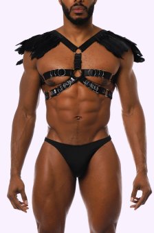 Shop Phoenix Harness and more