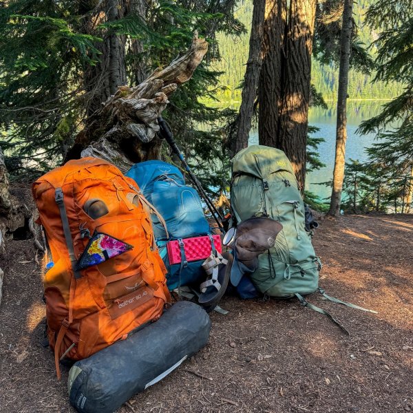 REI Co-op Traverse 60 Pack - Women's | REI Co-op