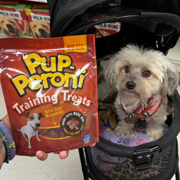 user image by @keepingupwithmaizy, Pup-Peroni Treats Peroni Beef Flavor Training Chewy Dog Treats - 5.6oz