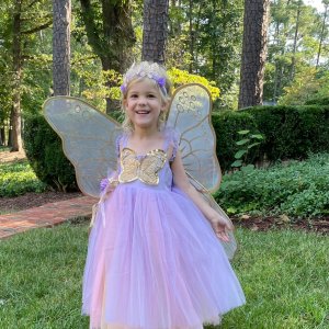 Lavender Butterfly Fairy Halloween Costume