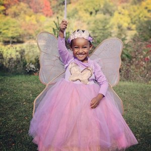 Lavender Butterfly Fairy Halloween Costume