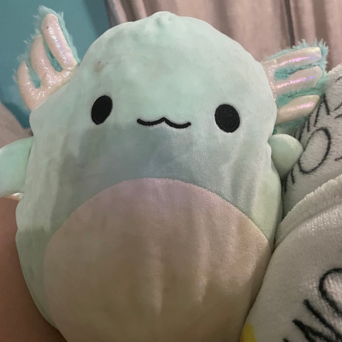 user image by Lyndsi Morgan Baker, Squishmallows Anastasia the Axolotl 12" Plush