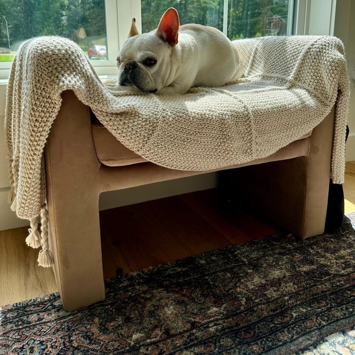 user image by @brady_frenchie, Vernon Ottoman - Threshold™ designed with Studio McGee