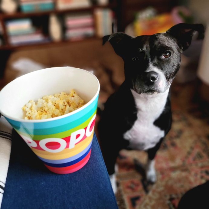 user image by @mstybailey, 5pc Melamine Popcorn Bowl Set - Tabitha Brown for Target: Multicolored Serving Bowls, Dishwasher-Safe, 4680ml Capacity