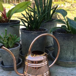 User generated image 1