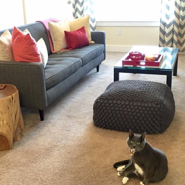 Parsons Coffee Tables Modern Coffee Tables Modern Living Room Furniture Room Board,Hazelnut Chocolate Wafer