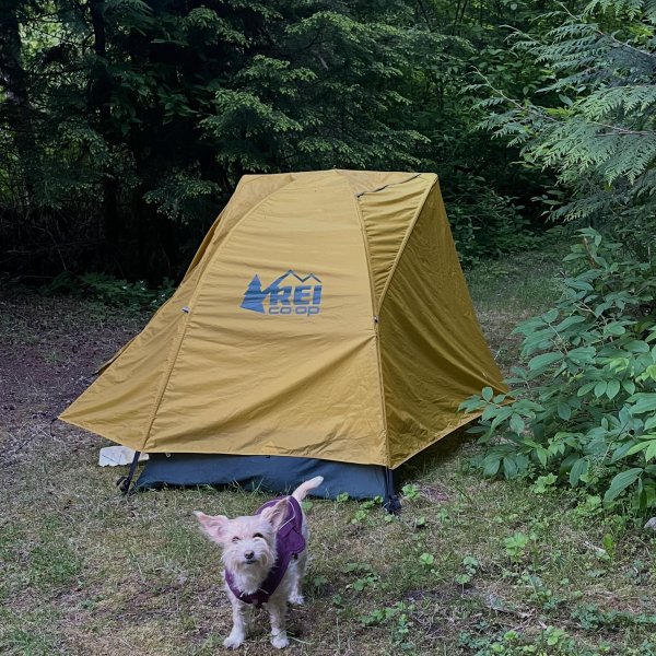 REI Co-op Half Dome 2 Tent with Footprint | REI Co-op