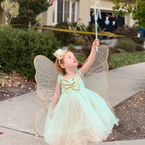 Lavender Butterfly Fairy Halloween Costume