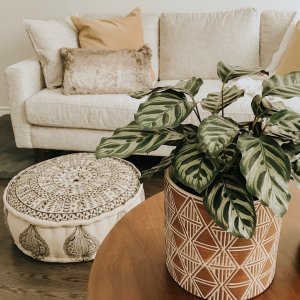 Sorry, I can’t, I have plants this weekend. 🌱 
#myurbanbarn