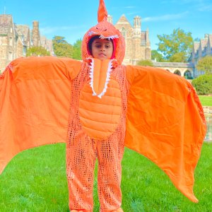 Light-Up Pterodactyl Halloween Costume