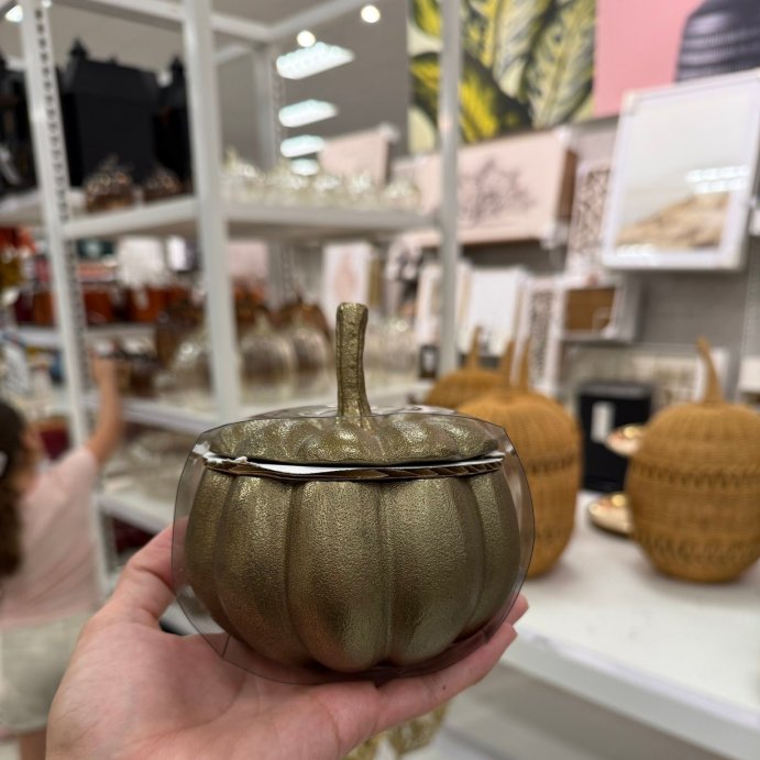 user image by @lilic202, Cast Metal Pumpkin Canister - Threshold&#8482; designed with Studio McGee