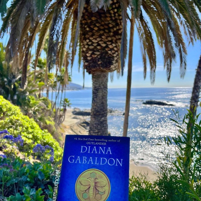 user image by @iamauthoret, Go Tell the Bees That I Am Gone - (Outlander) by Diana Gabaldon (Hardcover)