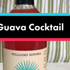 Williams Sonoma Encore Bar Double Wall Cocktail Shaker