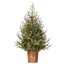 Shop CANVAS Pre-Lit Indoor Upswept Spruce Potted Christmas Tree, 70 LED Lights, 4-ft and more