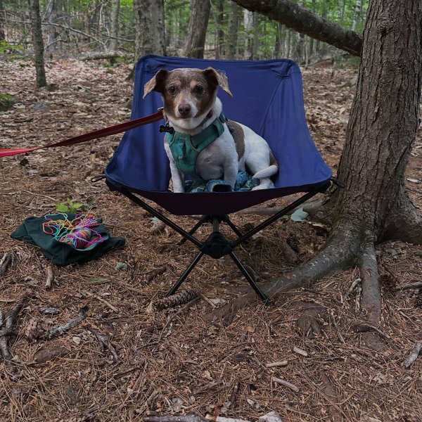 REI Co-op Flexlite Camp Chair | REI Co-op