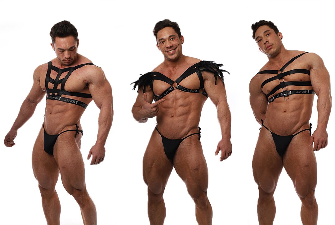 Shop Vixen Harness, Trapped Harness and more