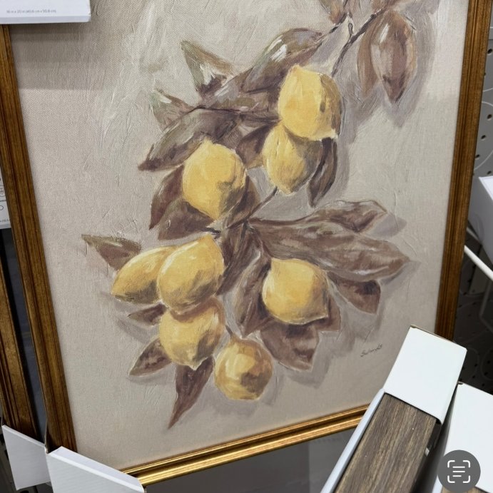 user image by @millennialhomefaves, 16&#34;x20&#34; Lemons Vintage Framed Wall Art - Threshold&#8482; designed with Studio McGee