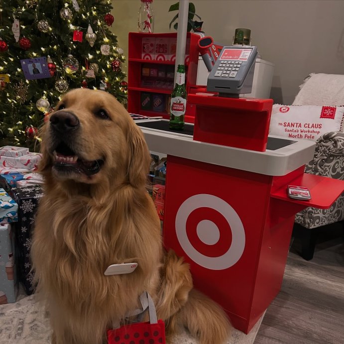 user image by @rooney_thecitypup, Target Toy Checklane: Pretend Shopping Accessories, Play Money, Toy Cash Register, Batteries Required, Ages 3+