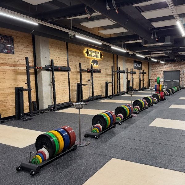 Horizontal Plate Rack 3.0 | Rogue Fitness Canada