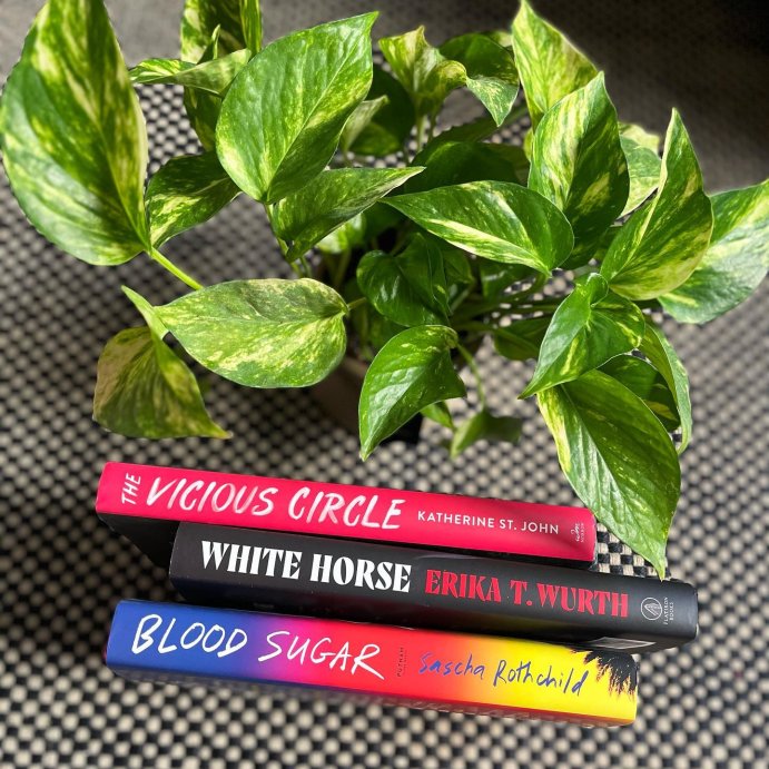 user image by @currently_booked, White Horse - by Erika T Wurth
