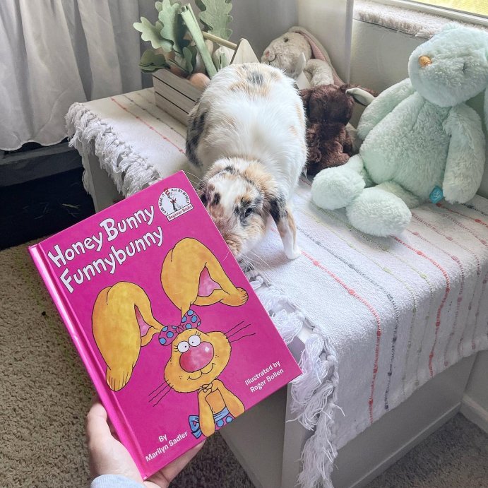 user image by @bun_.01, Honey Bunny Funnybunny - (Beginner Books(r)) by Marilyn Sadler (Hardcover)