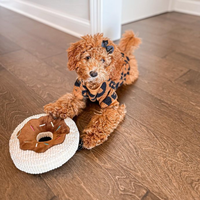 user image by @gigiminidoodle, TrustyPup Chocolate Donut Durable Plush Dog Toy