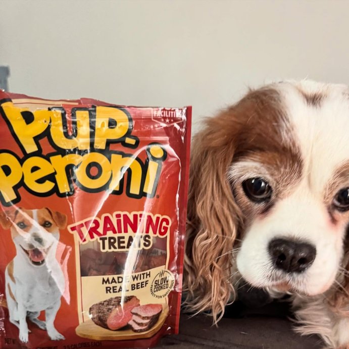user image by @etchybug, Pup-Peroni Treats Peroni Beef Flavor Training Chewy Dog Treats - 5.6oz