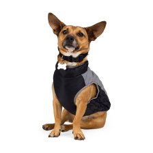 Shop Petco Skidoo Reflective Dog Winter Jacket, Black and more