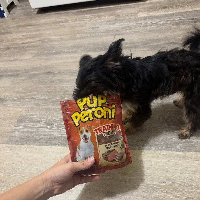 user image by @kim.fluenster, Pup-Peroni Treats Peroni Beef Flavor Training Chewy Dog Treats - 5.6oz
