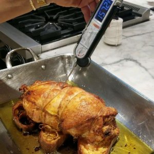 Precision Pro Commercial Thermometer