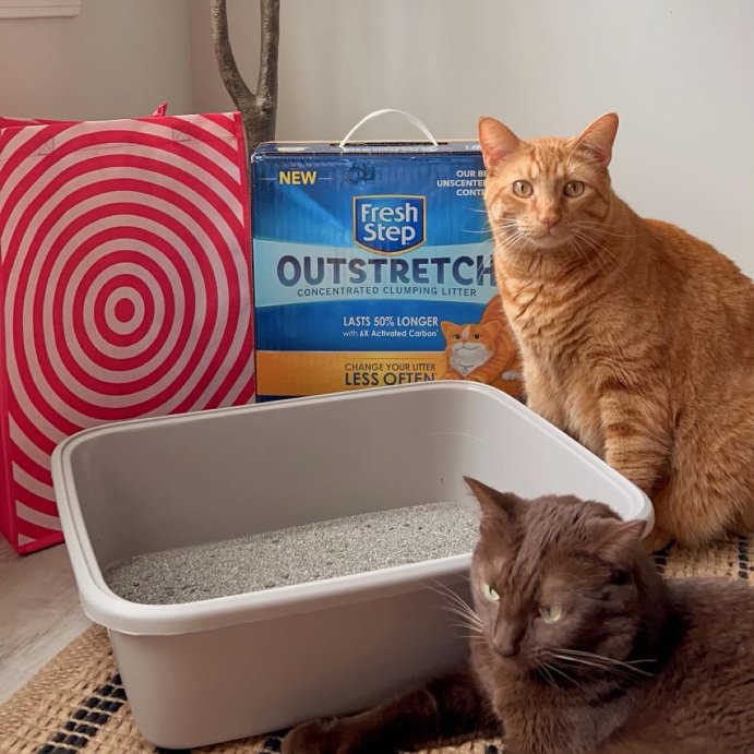 user image by @pineapplesays, Fresh Step Outstretch Febreze Scented Cat Litter - 19lbs