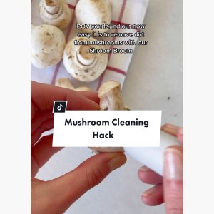 Brush for cleaning mushrooms – Chef'n