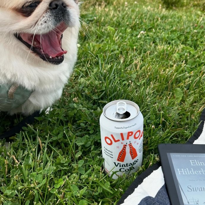 user image by @bean.peke, OLIPOP Vintage Cola Prebiotic Soda - 12 fl oz Can