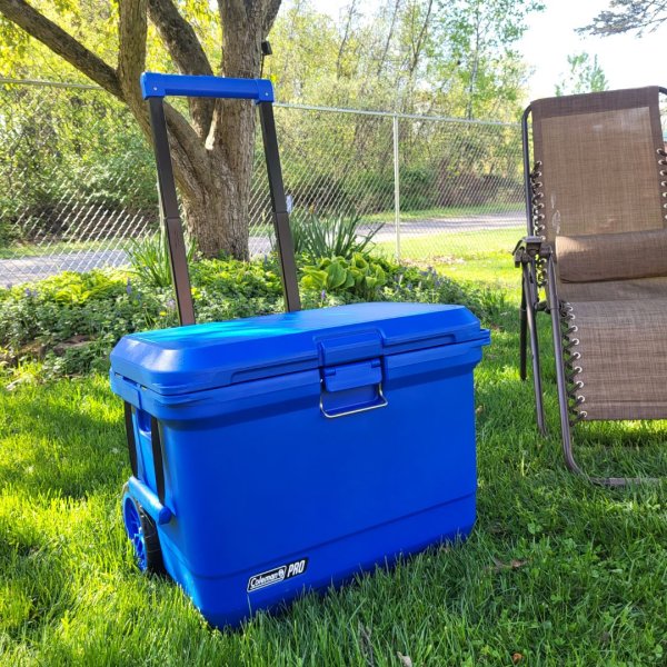 Coleman Pro 55-Quart Hard Cooler | REI Co-op