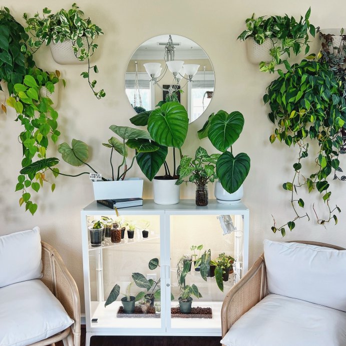 user image by @happy_little_houseplant, Rialto Woven Barrel Back Chair with Cushion - Threshold&#8482; designed with Studio McGee