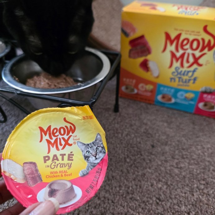 user image by @brigarnica, Meow Mix Surf n Turf Tuna Salmon and Chicken Flavor Wet Cat Food - 33oz