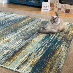 Verve Performance Rug | West Elm