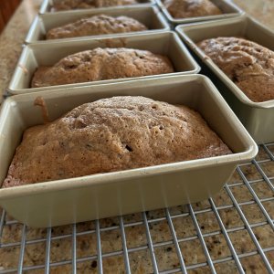 Williams Sonoma Goldtouch® Pro Nonstick Mini Loaf, Set of 4