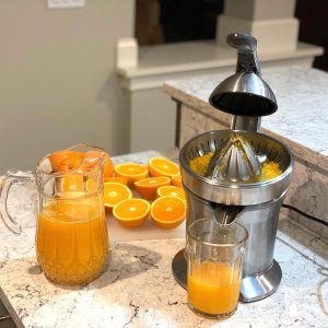 Breville the Citrus Press — Las Cosas Kitchen Shoppe