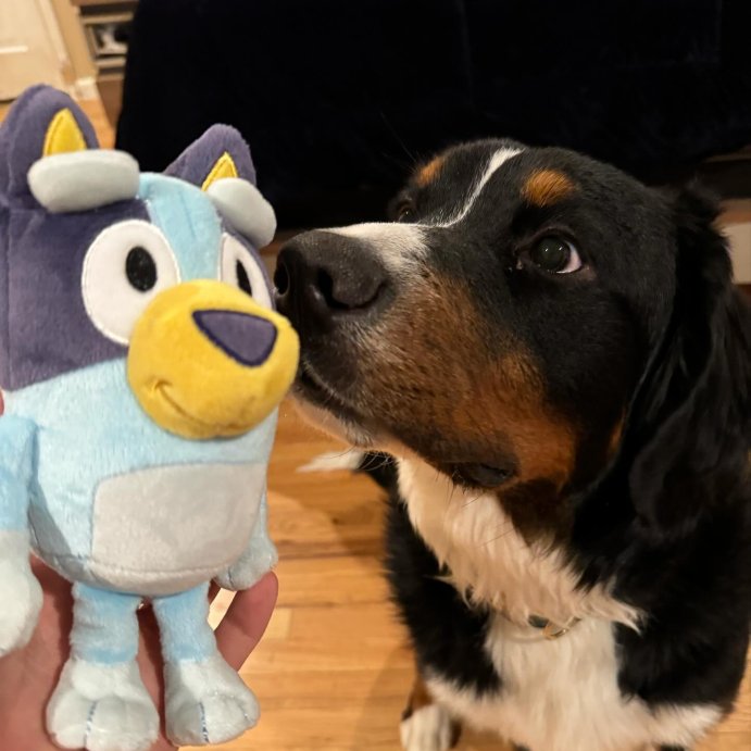 user image by @not_even_winston, Bluey Sound Effects Talking Stuffed Plush
