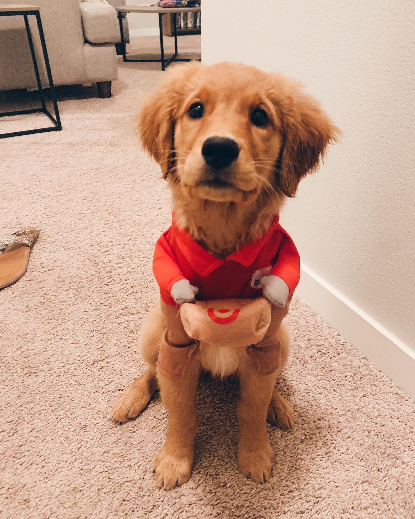 #TargetStyle : guest review : Target Finds