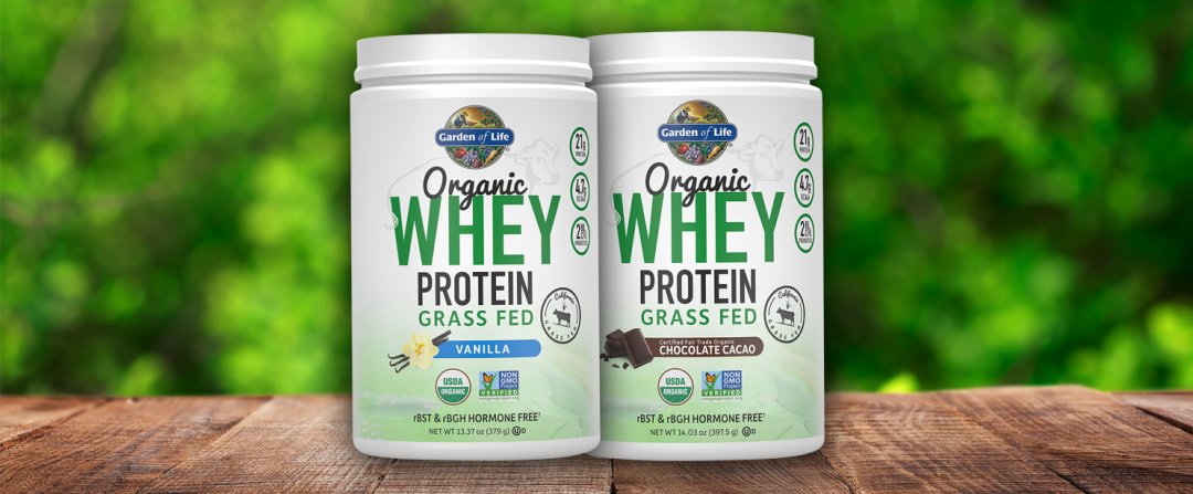 Shop Garden of Life Grass-Fed Organic Whey Protein - Vanilla (13.37 oz. / 12 Servings), Garden of Life Organic Whey Protein ? Grass Fed ? Chocolate Cacao (14.03 oz./12 Servings) and more