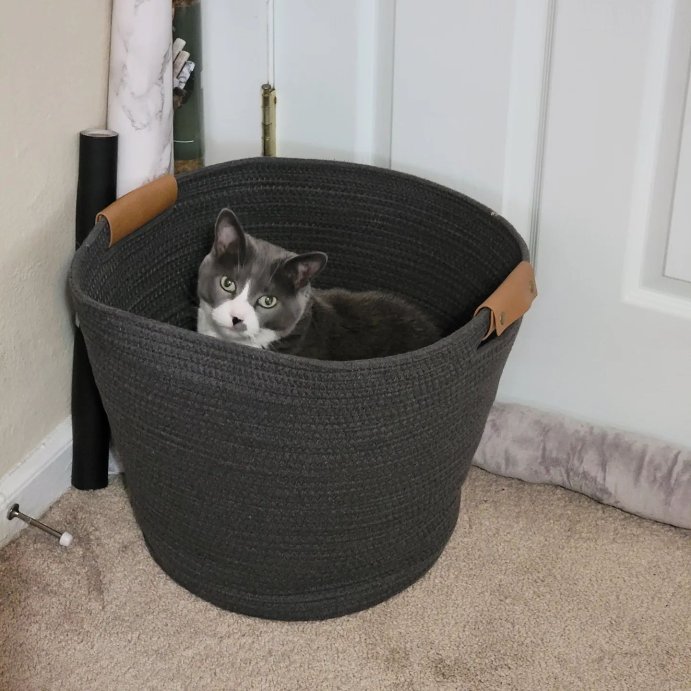 user image by @annabear.vance, 13" Decorative Coiled Rope Basket - Brightroom™