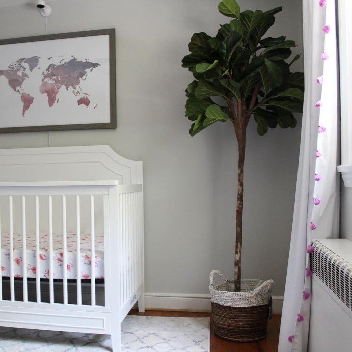 user image by Nicole , DaVinci Chloe Regency 4-in-1 Convertible Crib