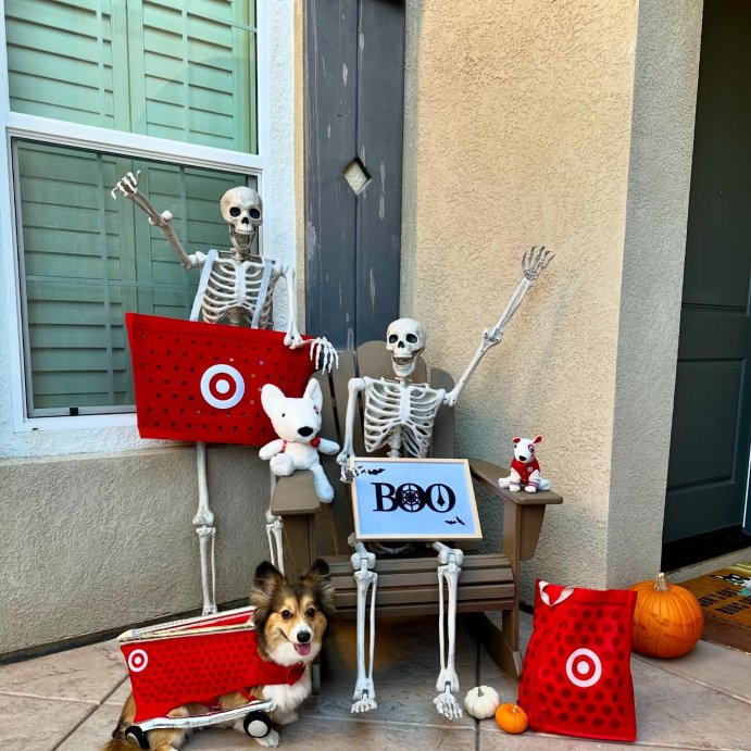 user image by @colbeethefluffycorgi, Target Shopping Cart Full Body Halloween Dog and Cat Costume - Boots & Barkley™